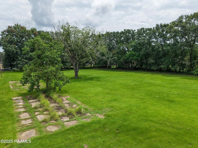 TBD N Arceneaux St, Church Point, LA 70525 - photo 8