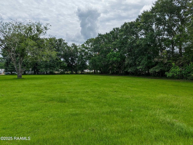 TBD N Arceneaux St, Church Point, LA 70525 - photo 1