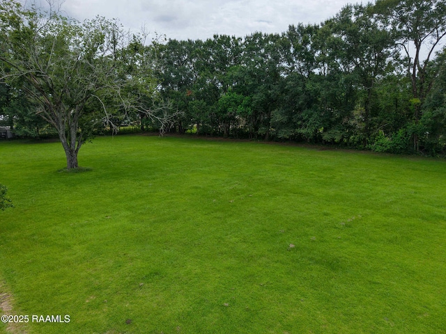 TBD N Arceneaux St, Church Point, LA 70525 - photo 3