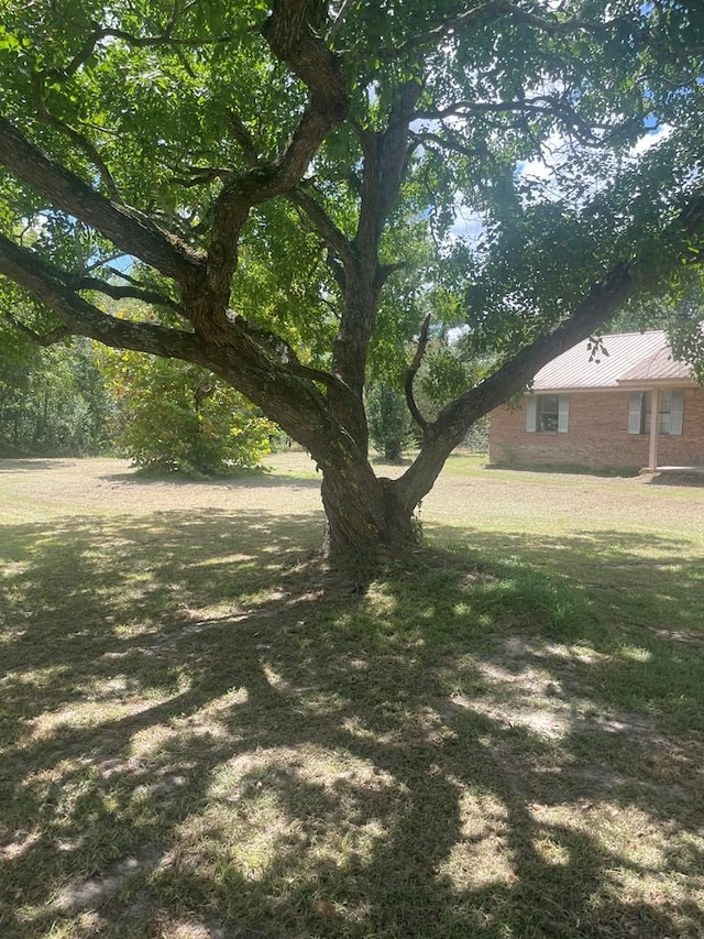 7392 Jc Earnest Rd, Donalsonville, GA 39845 - photo 3
