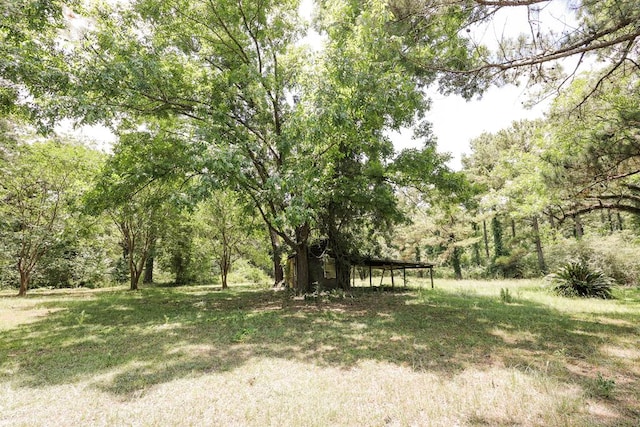 1867 N Old 179, Whigham, GA 39897 - view of yard featuring a forest view