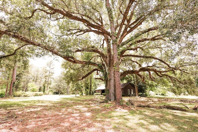 1867 N Old 179, Whigham, GA 39897 - view of yard