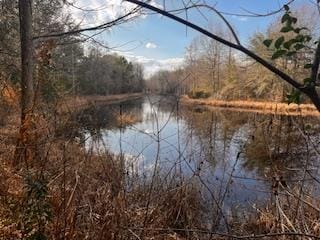 70 Mayhaw Rd, Colquitt GA, 39837 land for sale