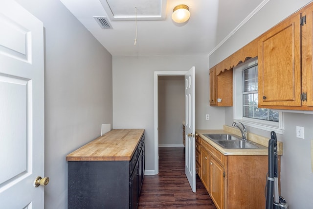 kitchen with dark hardwood / wood-style flooring and sink