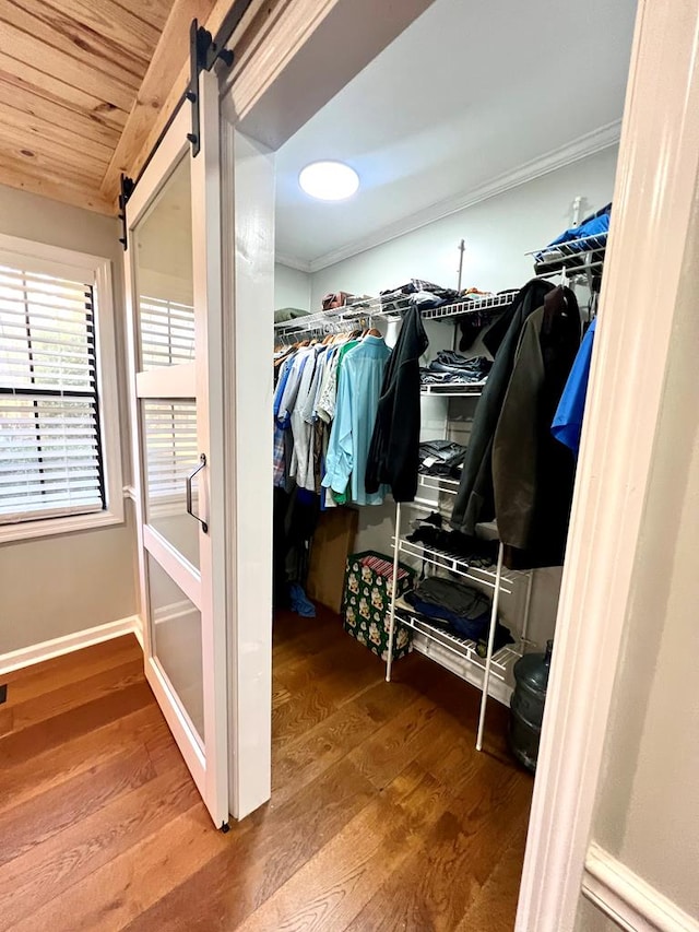 walk in closet featuring wood finished floors and a barn door