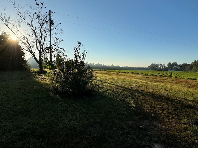 view of local wilderness with a rural view