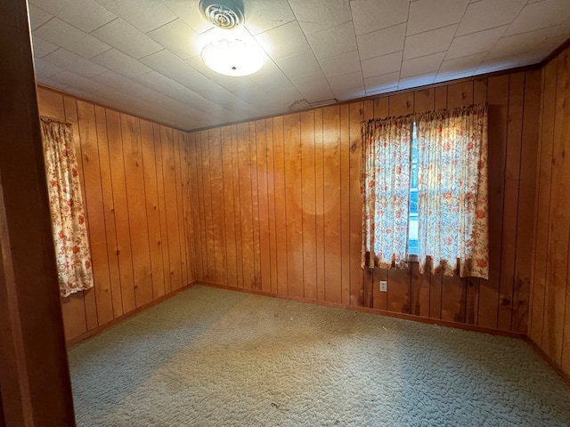 spare room featuring carpet and wooden walls