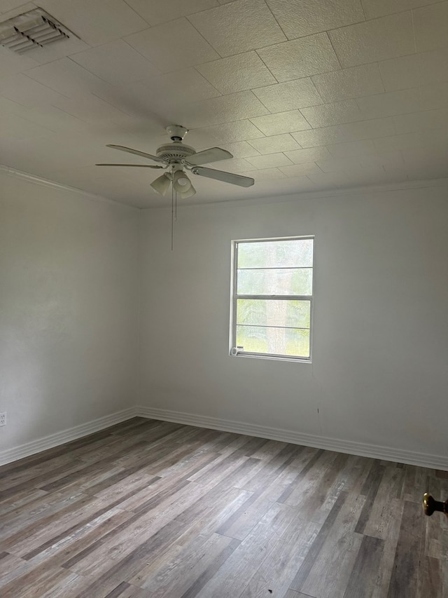 unfurnished room with ceiling fan and light wood-type flooring