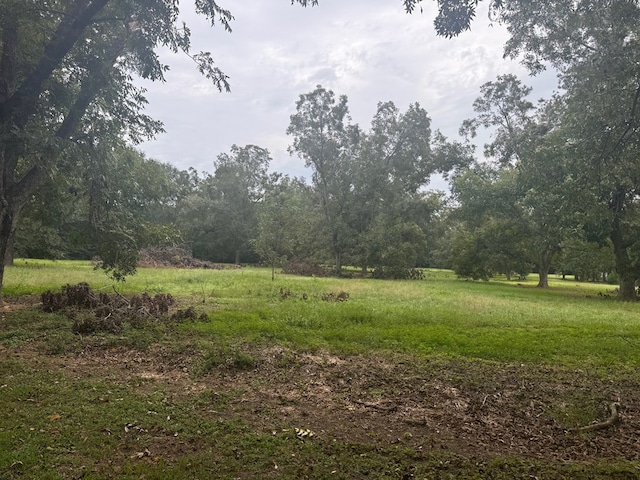 1008 Ga Highway 93 N, Cairo, GA 39827 - view of wooded area