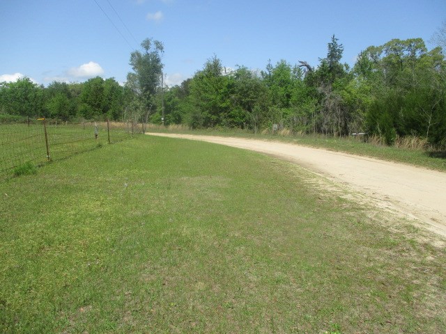 8062 Holly Island Dr Unit 2048, Donalsonville, GA 39845 - photo 3