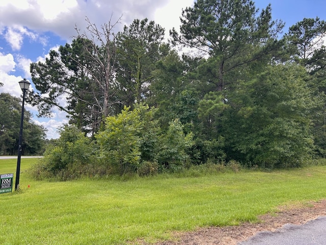 LOT4 Seminole Rdg, Bainbridge, GA 39819