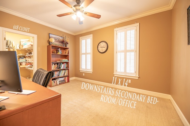 carpeted office with baseboards, a ceiling fan, and crown molding