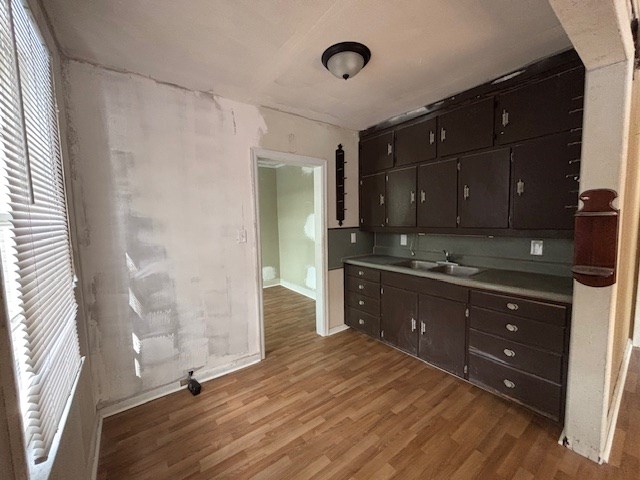 kitchen with sink, dark brown cabinets, and light hardwood / wood-style flooring