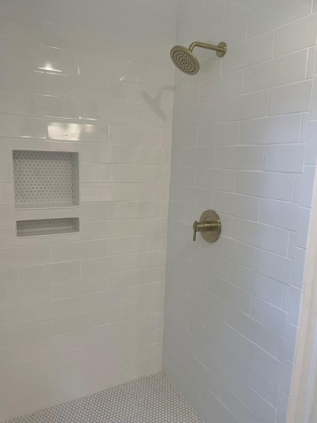 1202 Tallahassee Hwy, Bainbridge, GA 39819 - full bath featuring a tile shower