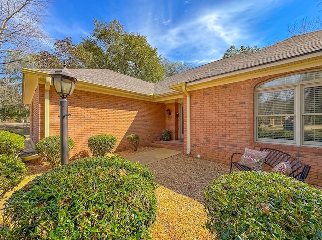 rear view of house with a patio, brick siding, and a shingled roof