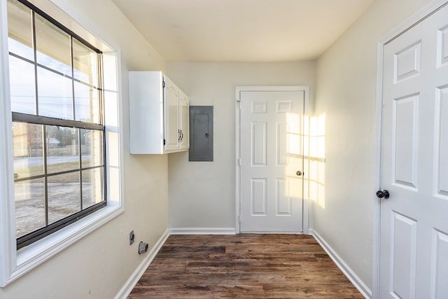 clothes washing area featuring cabinets, dark wood-type flooring, and electric panel