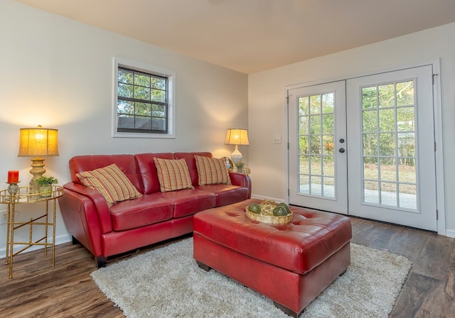 living room with dark hardwood / wood-style floors and french doors