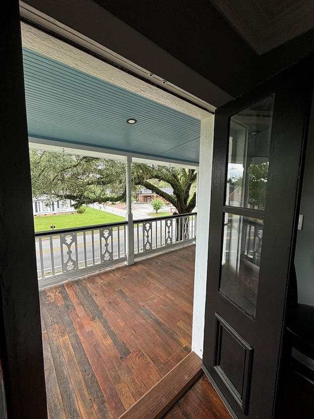 entryway featuring wood-type flooring