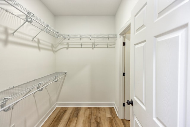 spacious closet featuring wood-type flooring