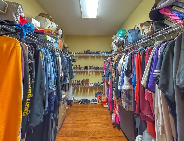 spacious closet featuring hardwood / wood-style floors