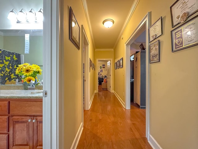 corridor featuring crown molding and light hardwood / wood-style flooring