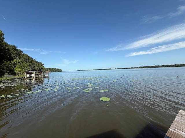 742 Booster Club Rd, Bainbridge, GA 39819 - dock with a water view