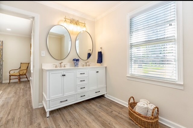 bathroom featuring hardwood / wood-style floors, vanity, and ornamental molding