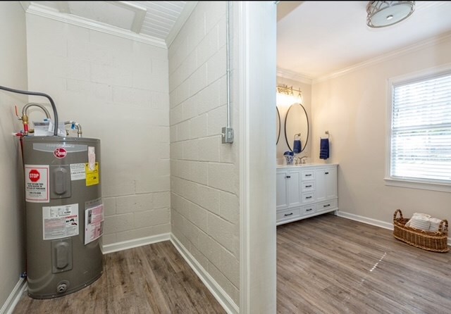 utility room with electric water heater