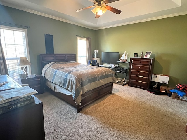 carpeted bedroom with a tray ceiling, multiple windows, ornamental molding, and ceiling fan