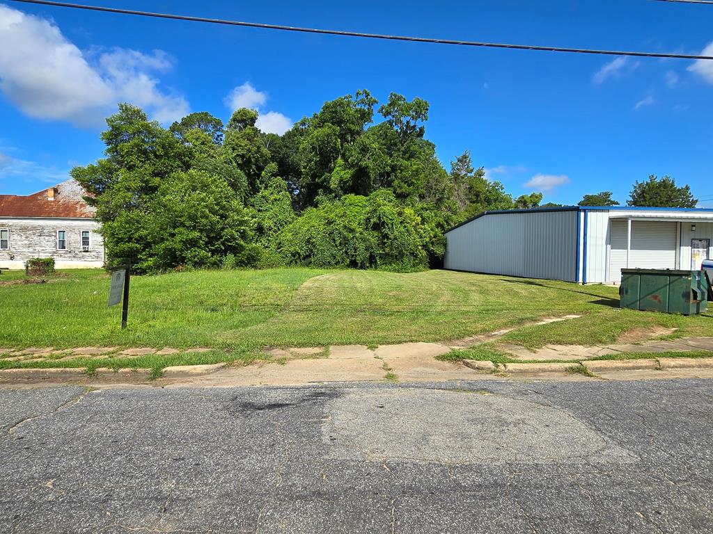 411 Independent St, Bainbridge, GA 39817 - photo 1