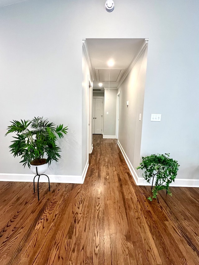 hallway featuring hardwood / wood-style flooring and ornamental molding