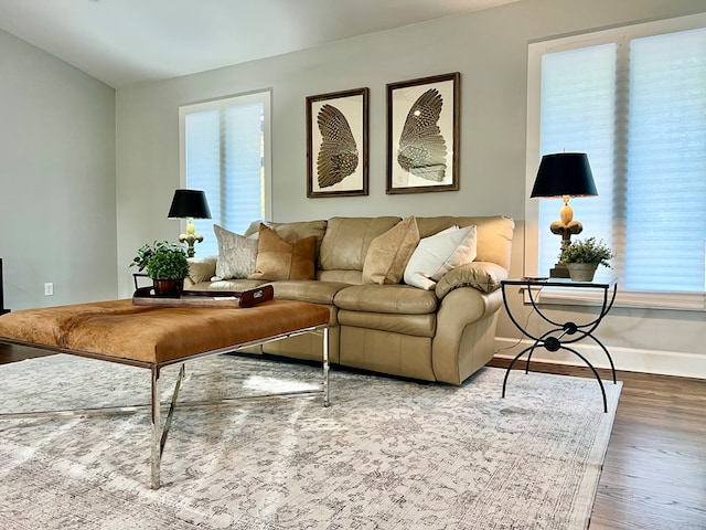 living room featuring hardwood / wood-style floors and a wealth of natural light