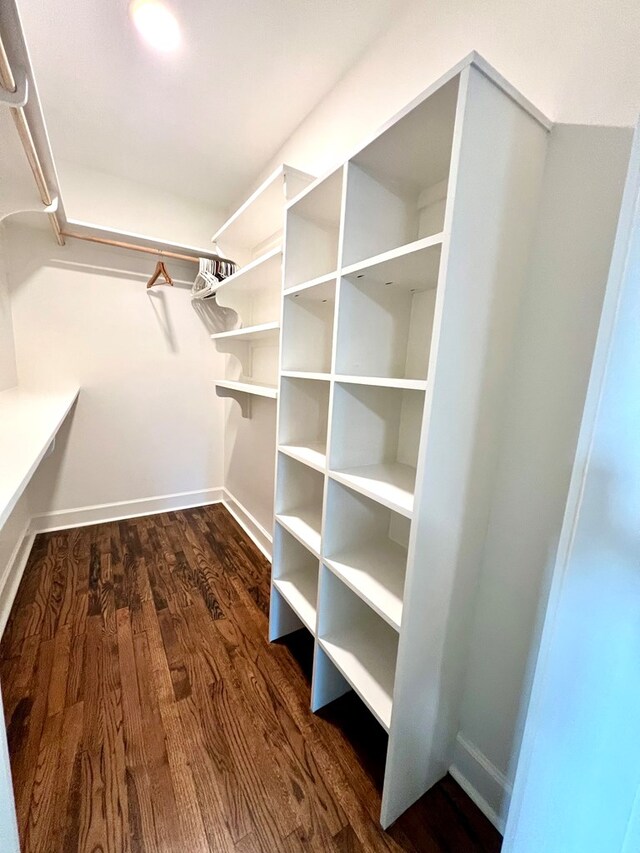 walk in closet with dark wood-type flooring