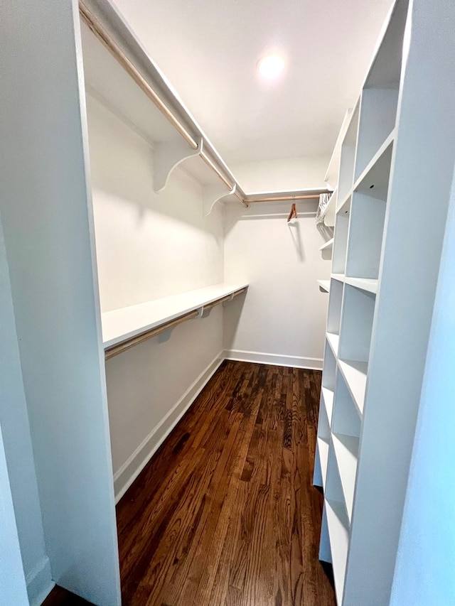 walk in closet featuring dark hardwood / wood-style floors