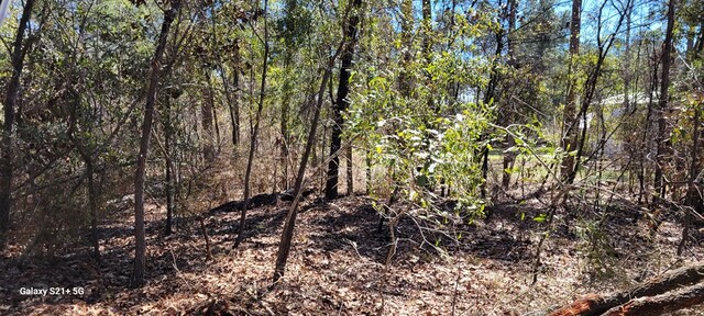 LOT17 E Cypress Dr Unit 17, Donalsonville, GA 39845 - photo 5