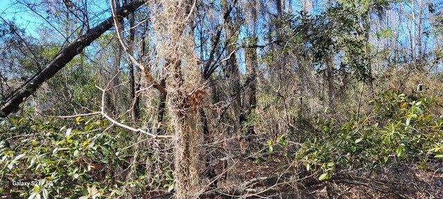 LOT17 E Cypress Dr Unit 17, Donalsonville, GA 39845 - photo 12