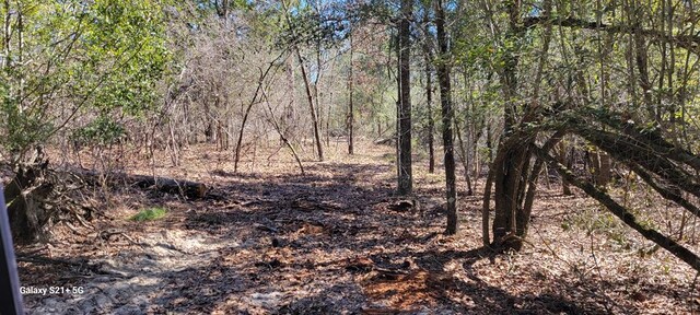 LOT17 E Cypress Dr Unit 17, Donalsonville, GA 39845 - photo 10