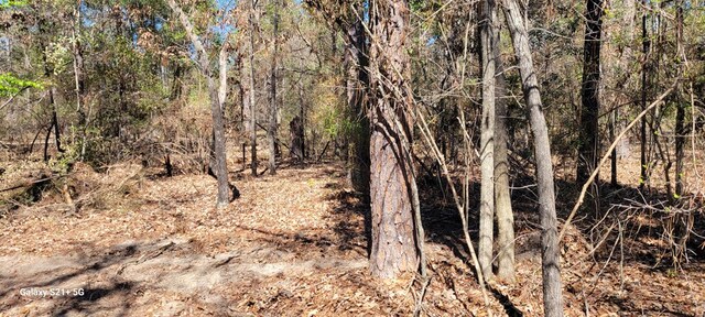 LOT17 E Cypress Dr Unit 17, Donalsonville, GA 39845 - photo 8