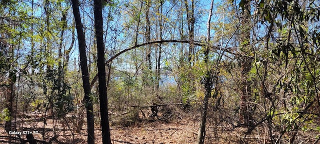 LOT17 E Cypress Dr Unit 17, Donalsonville, GA 39845 - photo 11