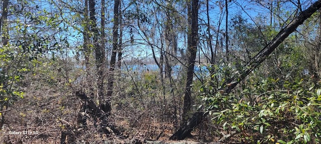 LOT17 E Cypress Dr Unit 17, Donalsonville, GA 39845 - photo 4