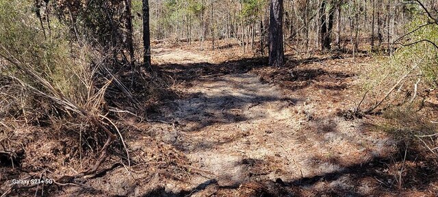 LOT17 E Cypress Dr Unit 17, Donalsonville, GA 39845 - photo 3