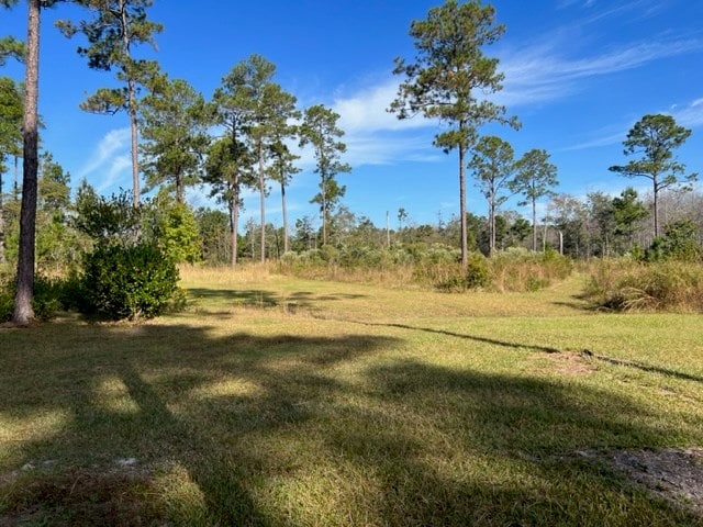 1016 Richter Rd, Cairo, GA 39828 - photo 5