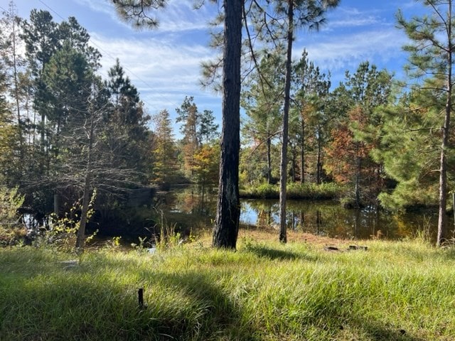 1016 Richter Rd, Cairo, GA 39828 - photo 4
