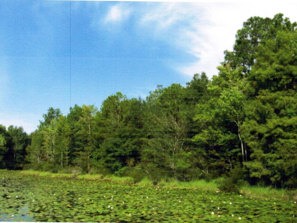 LOT1014 Holly Drive Loop Unit 1014, Donalsonville, GA 39845
