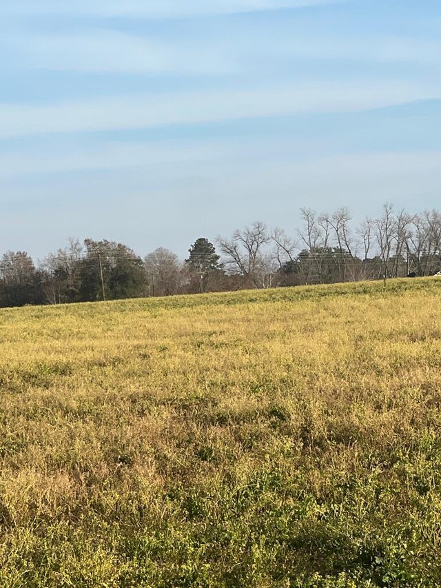 000 Jowers, Whigham, GA 39897