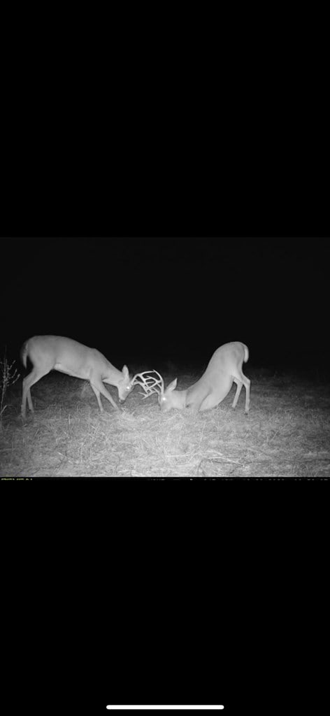 000 Jowers, Whigham, GA 39897