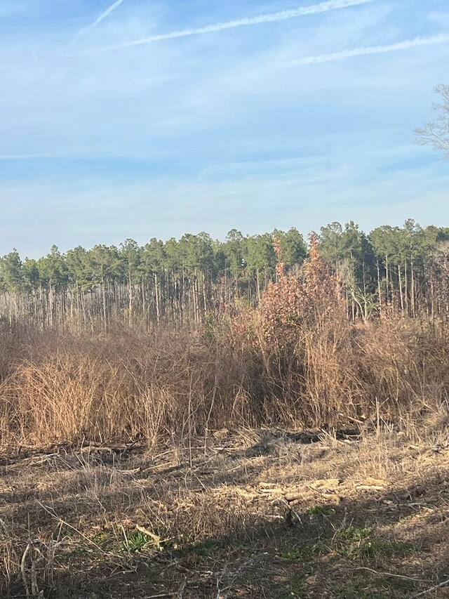 000 Jowers, Whigham, GA 39897