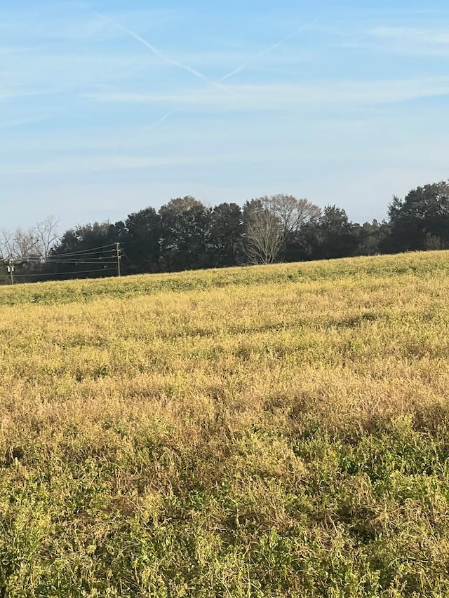 000 Jowers, Whigham, GA 39897