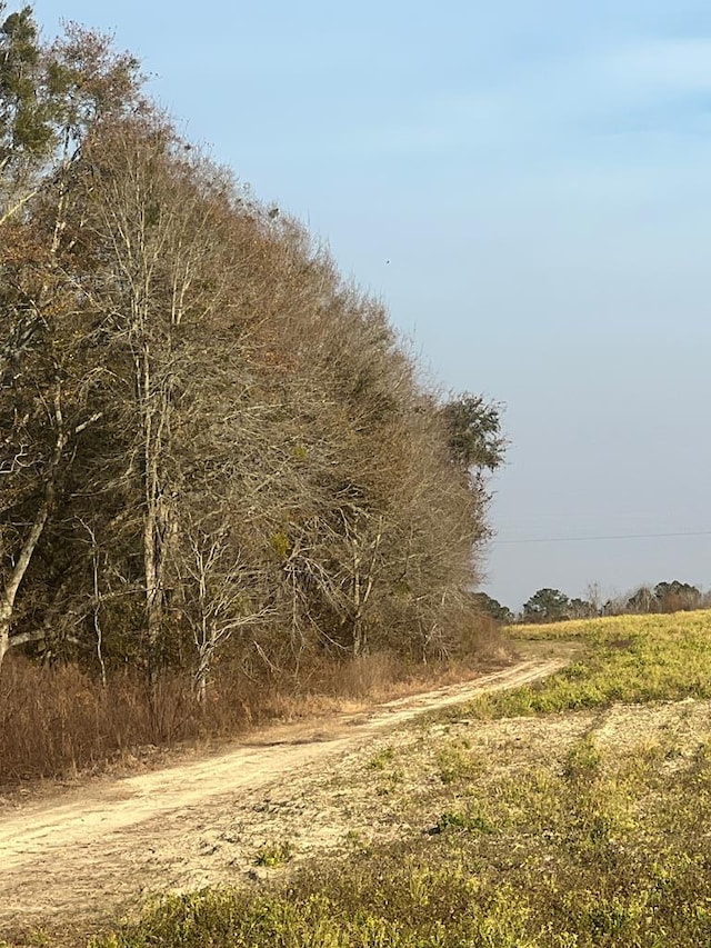 000 Jowers, Whigham, GA 39897