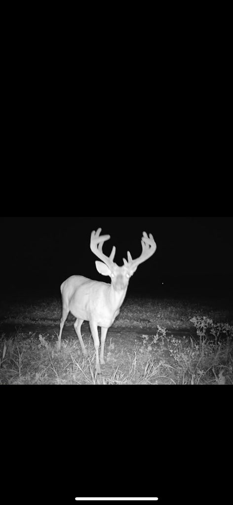 000 Jowers, Whigham, GA 39897 - photo 19